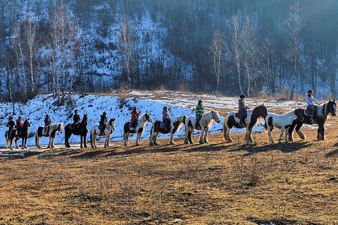 Centru de Echitatie in Petrosani - Keops Horses