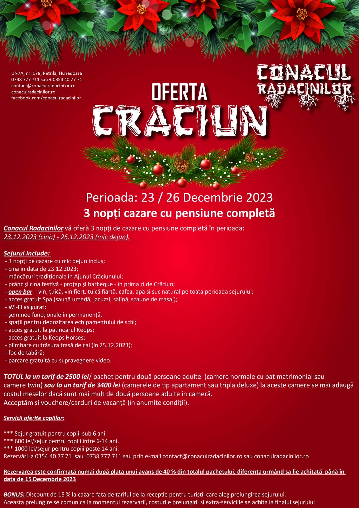 Oferta Craciun 2023 - Conacul Radacinilor